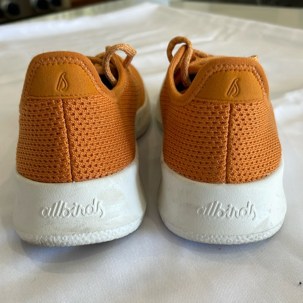 Allbirds Tree Runners Sneakers